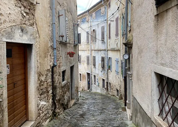 Birdhouse Motovun